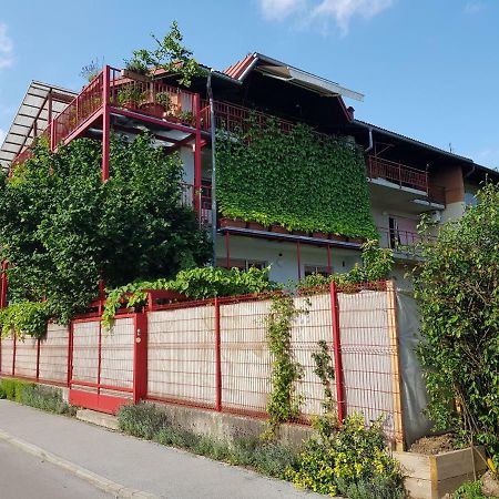 Apartament Ljubljana'S Terrace Zewnętrze zdjęcie