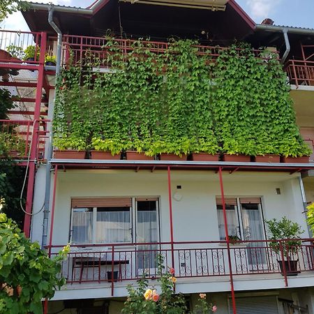 Apartament Ljubljana'S Terrace Zewnętrze zdjęcie