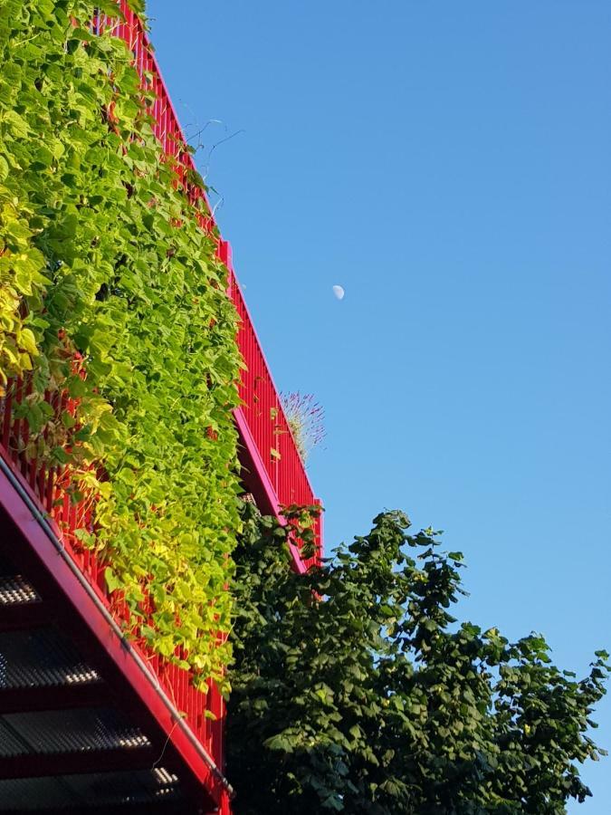 Apartament Ljubljana'S Terrace Zewnętrze zdjęcie